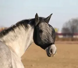 maska-przeciw-owadom-york-anika-czarna-pony