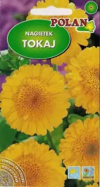 nagietek-tokaj-zolty-3g-nasiona-kwiatow