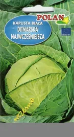 kapusta-biala-ditmarska-najwczesniejsza-2g-nasiona
