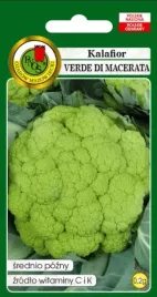 kalafior-zielony-verde-di-macerata-02g-nasiona