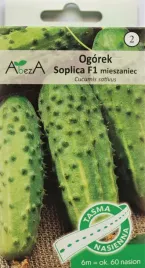 ogorek-soplica-f1-miesz-nasiona-na-tasmie-6-metrow