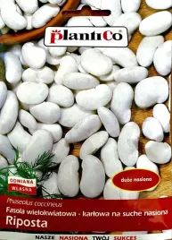 fasola-wielokwiatowa-karlowa-riposta-50g-nasiona