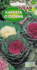 kapusta-ozdobna-05g-nasiona-kwiatow-polan