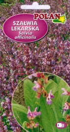 szalwia-lekarska-1g-nasiona-ziol-ziolo-okazja