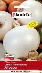 cebula-sredniopozna-alibaba-5g-nasiona-warzyw
