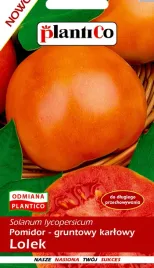 pomidor-gruntowy-karlowy-lolek-05g-nasiona-pl