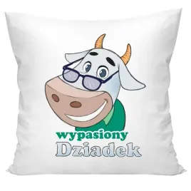 poduszka-ozdobna-dla-dziadka-40x40-cm-prezent-na-dzien-dziadka-jasiek