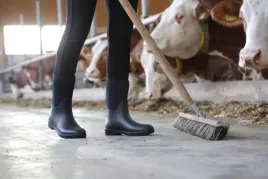 kalosze-jezdzieckie-neolite-czarny-roz-36-covalliero