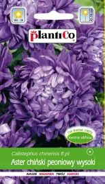 plantico-aster-chinski-peoniowy-fioletowy-lazuryt-1-g-nasiona-kwiatow