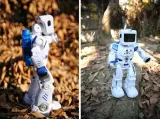 robot-interaktywny-inteligentny-na-wode-pilot-duzy-wiek-dziecka-brak-informacji