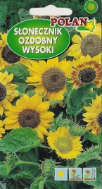 slonecznik-ozd-wysoki-5g-nasiona-zolty-mieszany