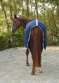 derka-polarowa-dla-konia-rugbe-economic-granatowy-165-cm-covalliero