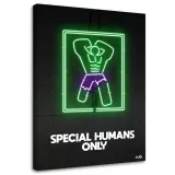 obraz-na-plotnie-hulk-neon-rubiant-40x60