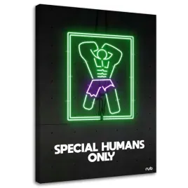 obraz-na-plotnie-hulk-neon-rubiant-40x60