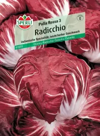 radicchio-palla-rossa-3-nasiona-premium-sperli