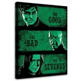 obraz-na-plotnie-kolaz-harry-potter-ddjvigo-40x60