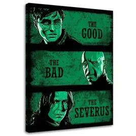obraz-na-plotnie-kolaz-harry-potter-ddjvigo-40x60