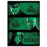 obraz-na-plotnie-kolaz-harry-potter-ddjvigo-40x60-sposob-wykonania-druk-cyfrowy