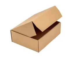 karton-wykrojnikowy-300x240x100mm-mikrofala-e-fefco-426-100-sztuk