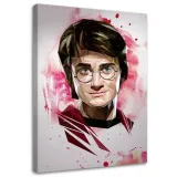 obraz-na-plotnie-harry-potter-70x100