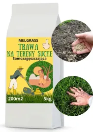 trawa-nasiona-na-tereny-suche-odporna-samozageszczajaca-trawnik-5kg-200m2