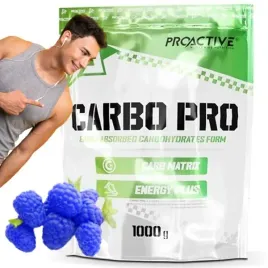 weglowodany-mineraly-energia-proactive-carbo-pro-1000g-niebieska-malina