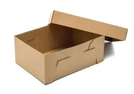 karton-wykrojnikowy-na-buty-320x220x130mm-pudelko-kartonowe-na-obuwie