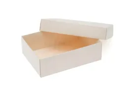 pudelko-ozdobne-prezentowe-255x160x75-mm-biale-l
