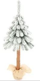 swierk-alpejski-na-pniu-65cm-choinka-osniezona
