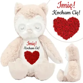 mis-maskotka-sowa-na-walentynki-kocham-cie-imie-wz