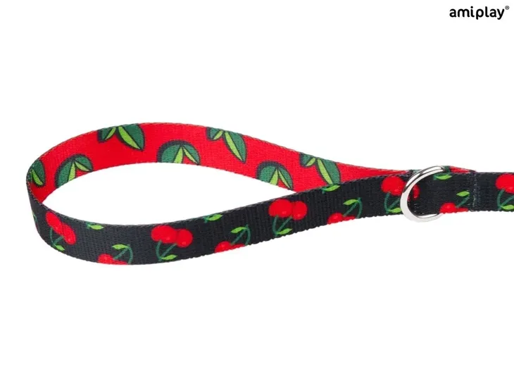 amiplay-smycz-behappy-l-cherry-nazwa-handlowa-amiplay-smycz-klasyczna-behappy-150-cm-l-cherry