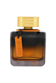 flavia-excellus-first-pour-homme-edp-100ml