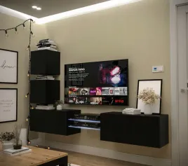 mebloscianka-nowoczesna-salon-meble-n100-1a