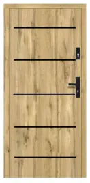 skrzydlo-wejsciowe-do-mieszkan-fryderyk-alu-1-black
