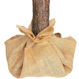 choinka-sztuczna-180-cm-na-pniu-diamentowa-sosna-osniezona-stojak-worek