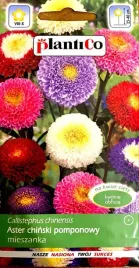 aster-chinski-pomponowy-mix-1g-nasiona-kwiatow