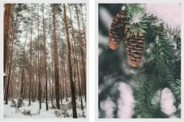 plakat-na-sciane-a3-zestaw-plakatow-zimowych-30x40-cm-las-natura-zima-snieg