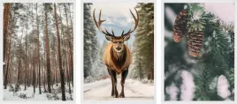 plakat-obrazki-zestaw-plakatow-a3-los-zimowy-klimat-las-natura
