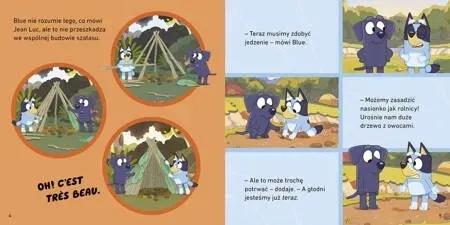 bluey-kemping-moja-czytanka-wydawnictwo-harperkids