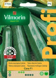 cukinia-zielona-dynia-zwyczajna-cora-nasiona-f1-2g