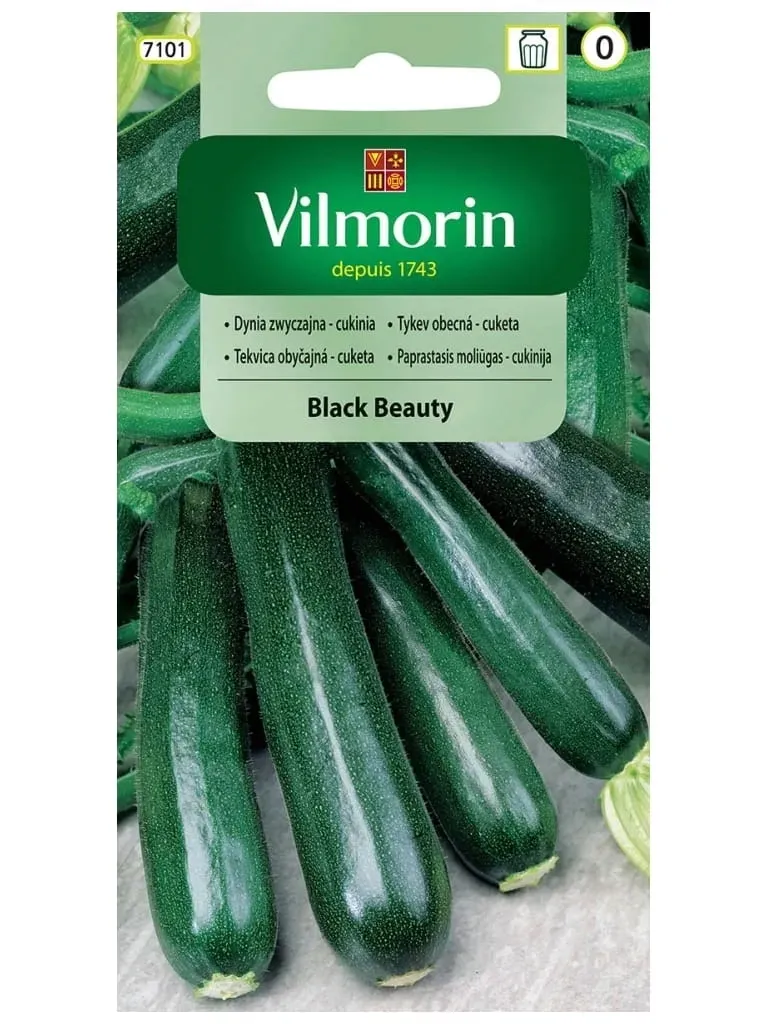 vilmorin-cukinia-black-beauty-2g