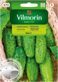vilmorin-ogorek-hela-f1-tasma-7m-wczesny-plenny-konserwowy-gruntowy-kiszen