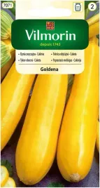 vilmorin-cukinia-goldena-2g-nasiona-cukini-zoltej-kabaczek-smaczny-plenny