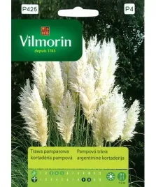 vilmorin-trawa-ozdobna-biala-pampasowa-01g-wieloletnia-piekna-na-rabaty