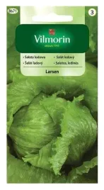 vilmorin-salata-krucha-lodowa-larsen-05g-nasiona-salaty-larsen-sr-wczesna