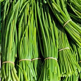 vilmorin-szczypiorek-commune-05g-nasiona-szczypiorku-szczypior-na-kanapki