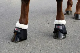 kaloszki-dla-konia-teddy-fleece-czarny-roz-pony-covalliero