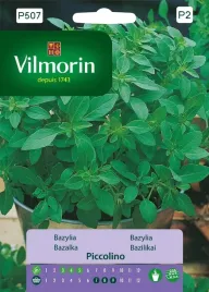 bazylia-piccolino-drobnolistna-doniczkowa-bardzo-aromatyczna-nasiona-bazyli