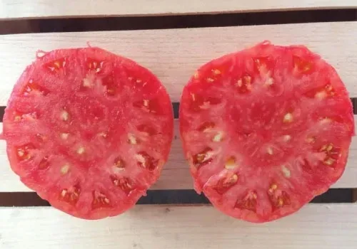 pomidory-malinowy-ozarowski-nasiona-05-g-kod-producenta-topomaozo5g