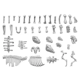 3d-printed-set-animal-bones-1-48-kosci-zwierzat-52-szt